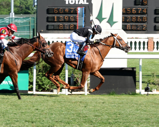 LAGYNOS - 053026 - Race 11 - CD  The Arlington Stakes G3 - Finish 01