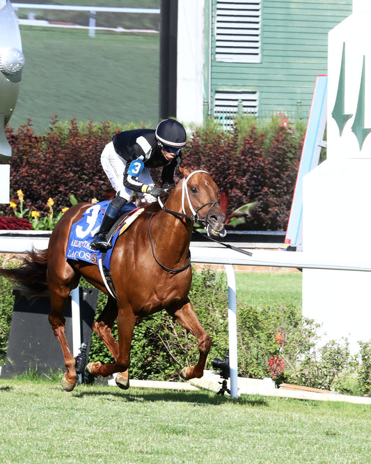 LAGYNOS - 053026 - Race 11 - CD  The Arlington Stakes G3 - Finish 03