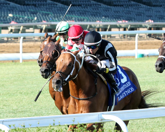LAGYNOS - 053026 - Race 11 - CD  The Arlington Stakes G3 - Inside Finish 02