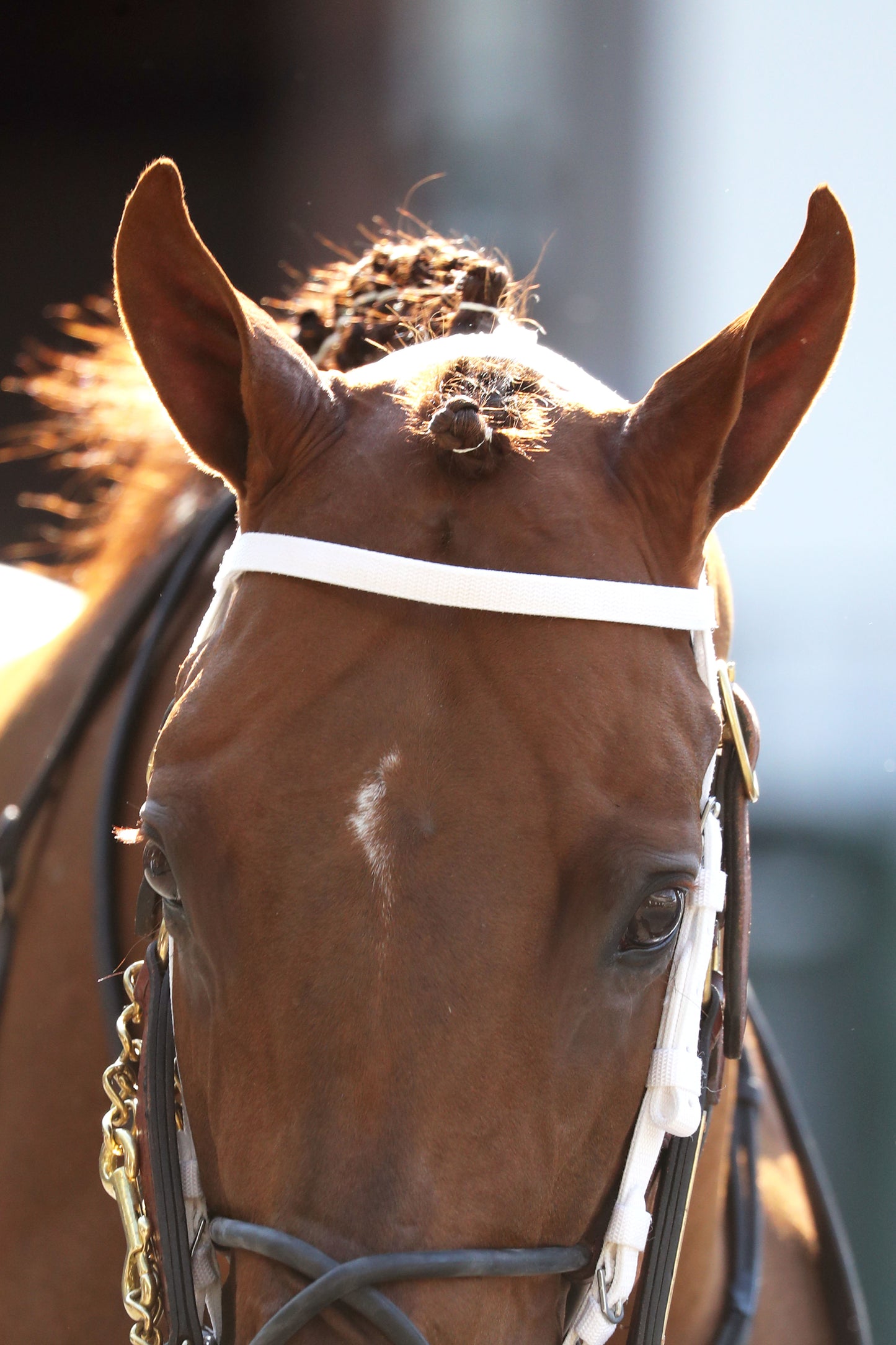 LAGYNOS - 053026 - Race 11 - CD  The Arlington Stakes G3 - Paddock 01