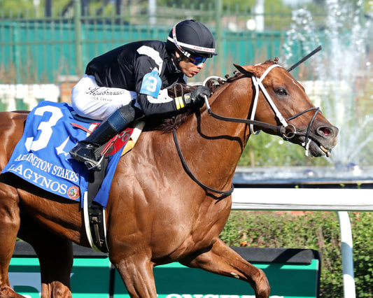 LAGYNOS - 053026 - Race 11 - CD  The Arlington Stakes G3 - Tight Finish 01