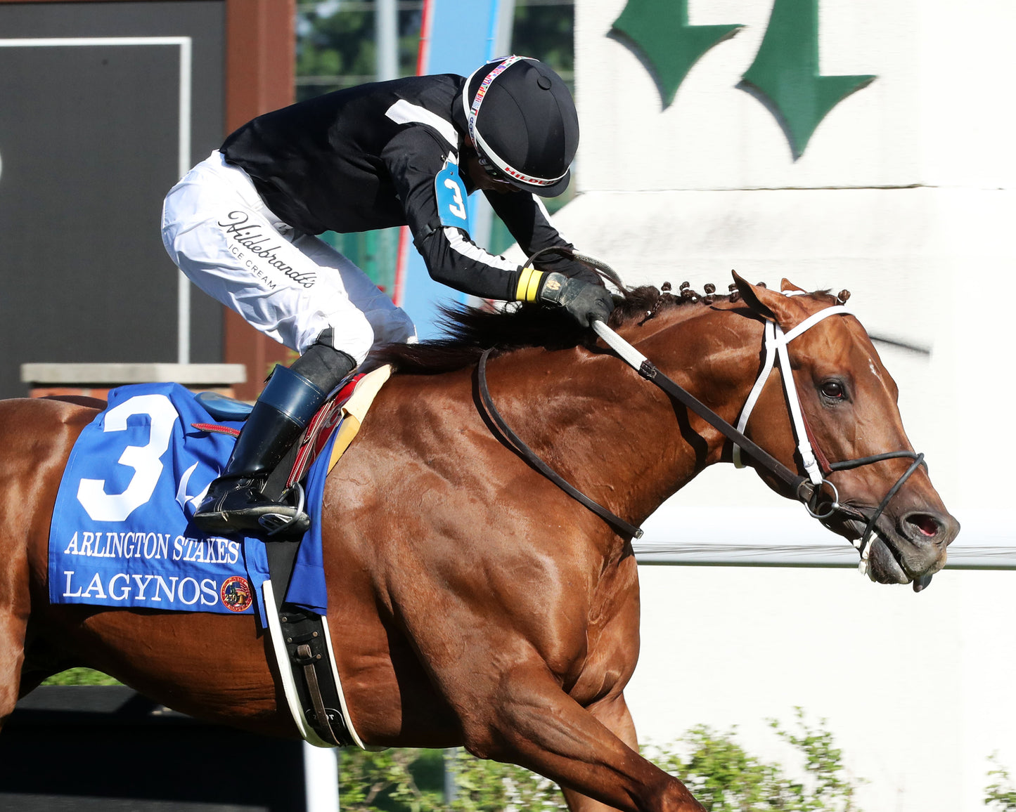 LAGYNOS - 053026 - Race 11 - CD  The Arlington Stakes G3 - Tight Finish 02