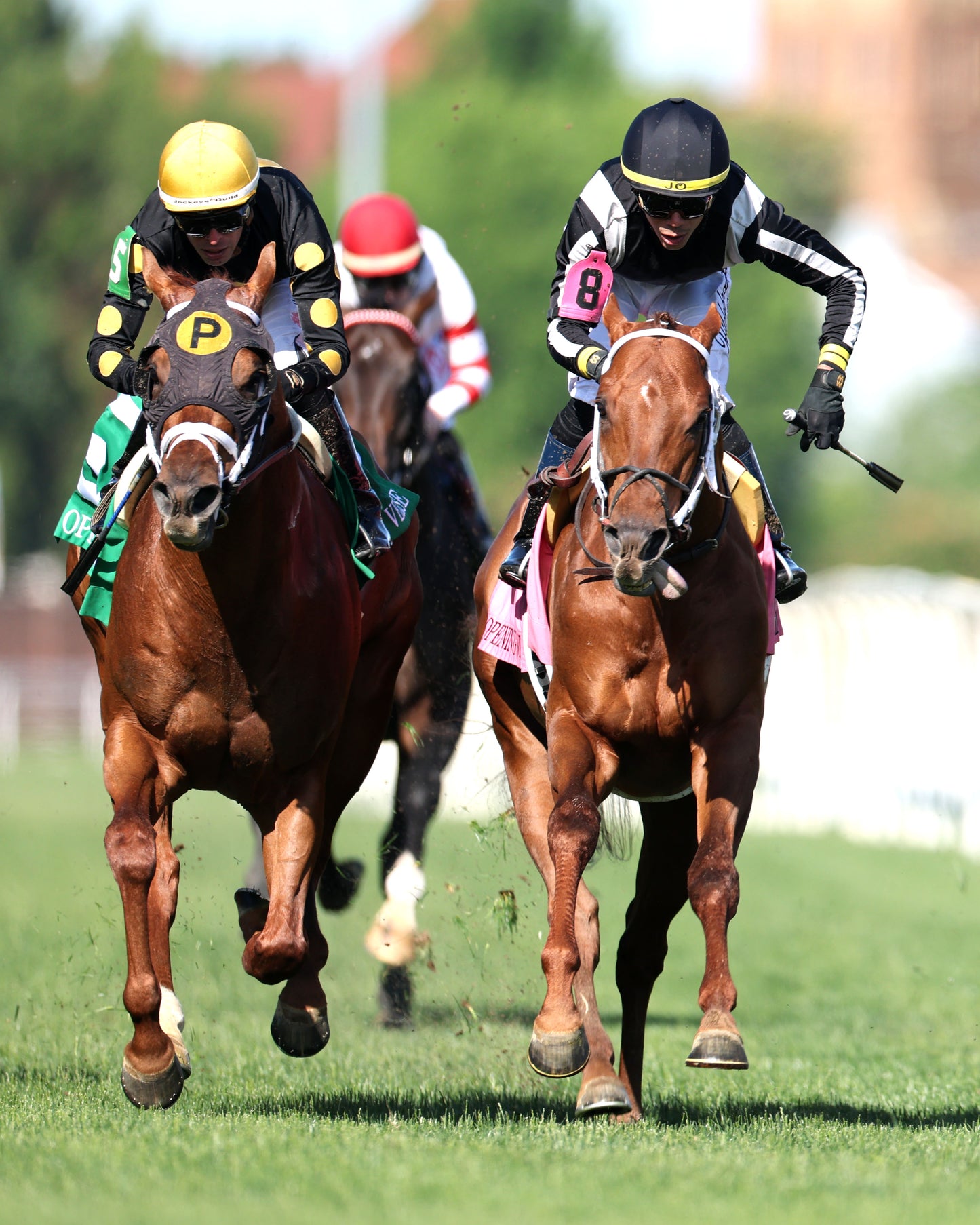 LAGYNOS - 043026 - Race 09 - CD -  Gallop Out 01 - Coady Media - Kurtis Coady Photography