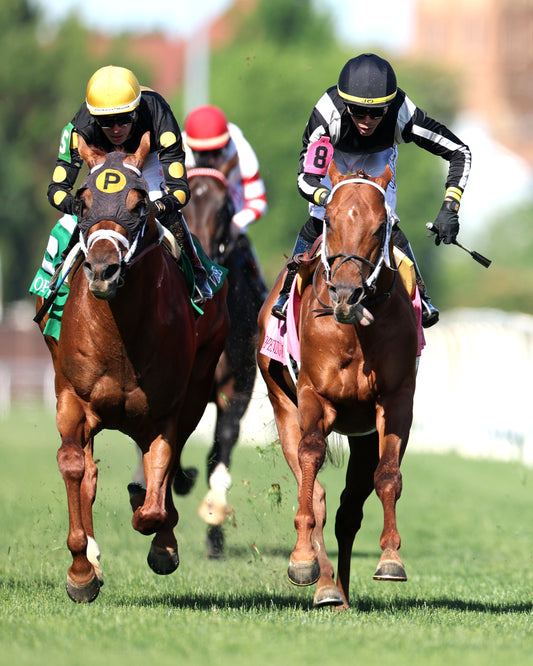 LAGYNOS - 043026 - Race 09 - CD -  Gallop Out 01 - Coady Media - Kurtis Coady Photography