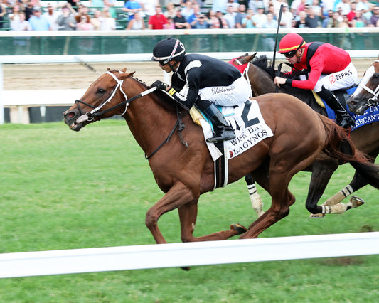 LAGYNOS - The Wise Dan G2 - 06-27-26 - R10 - CD - Inside Finish 01