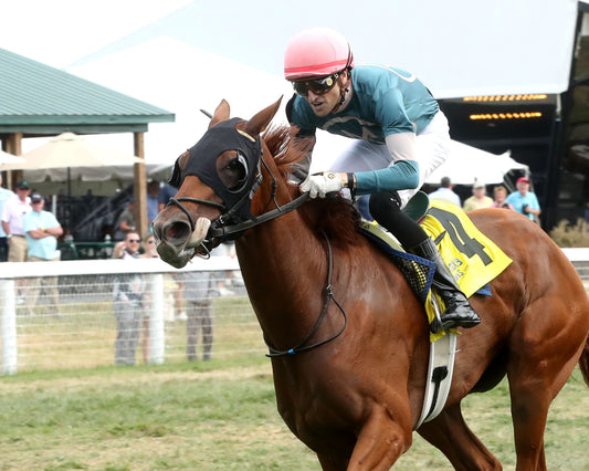LAIGINA - The Lucky Lantern - 09-07-26 - R08 - KD - Inside Finish 01