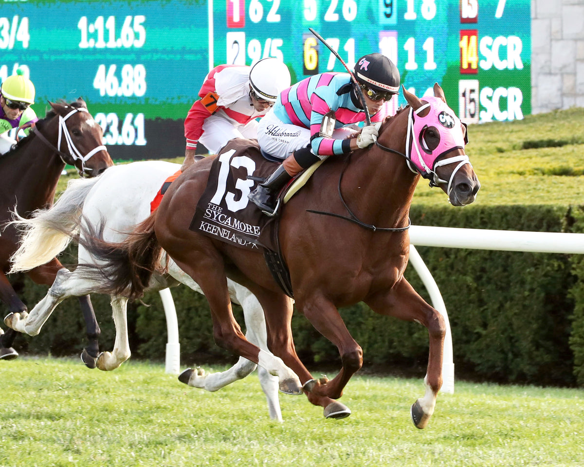 LAMBETH - The Sycamore G2 - 10-09-26 - R09 - KEE - Finish 03