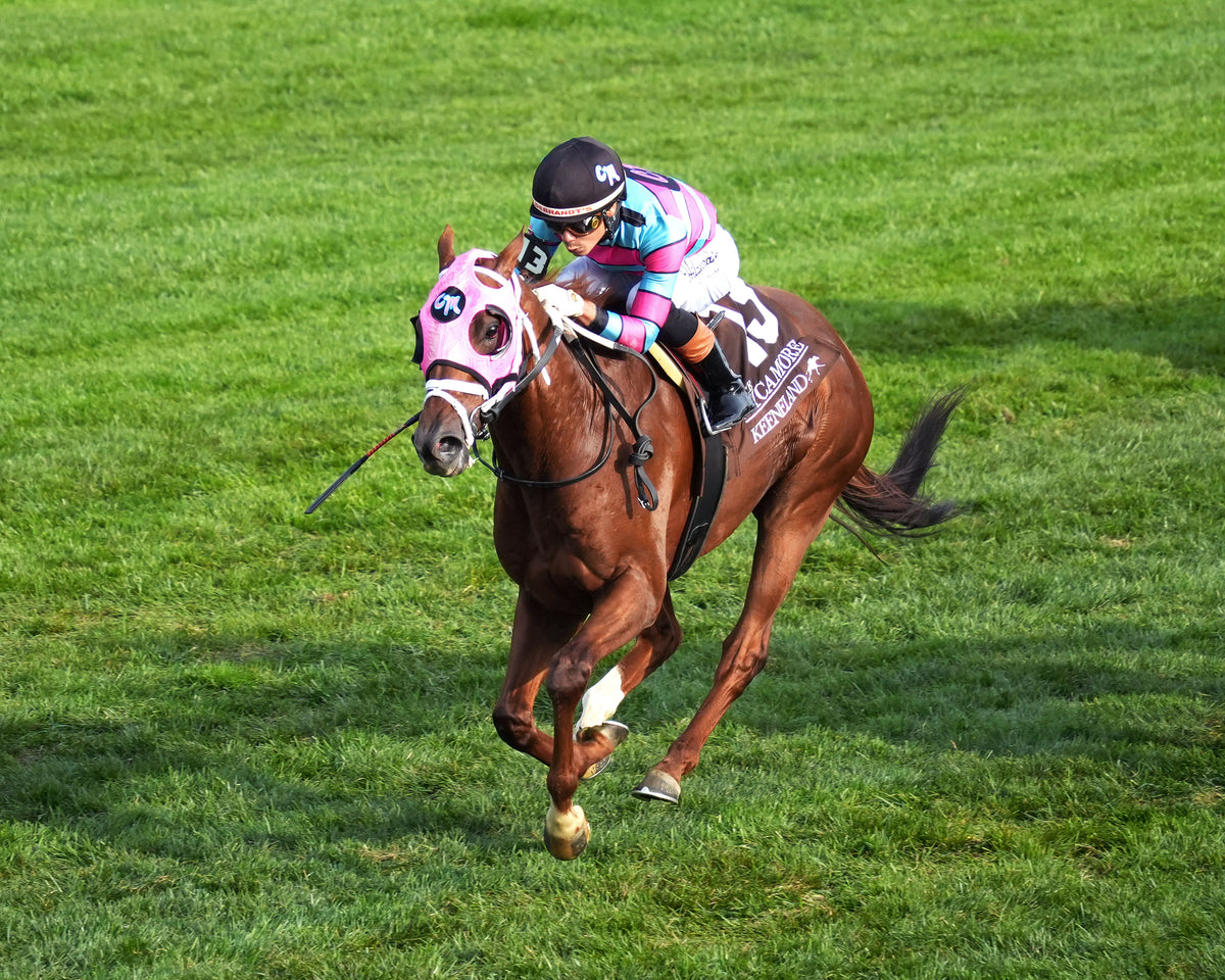LAMBETH - The Sycamore G2 - 10-09-26 - R09 - KEE - Inside Finish 02