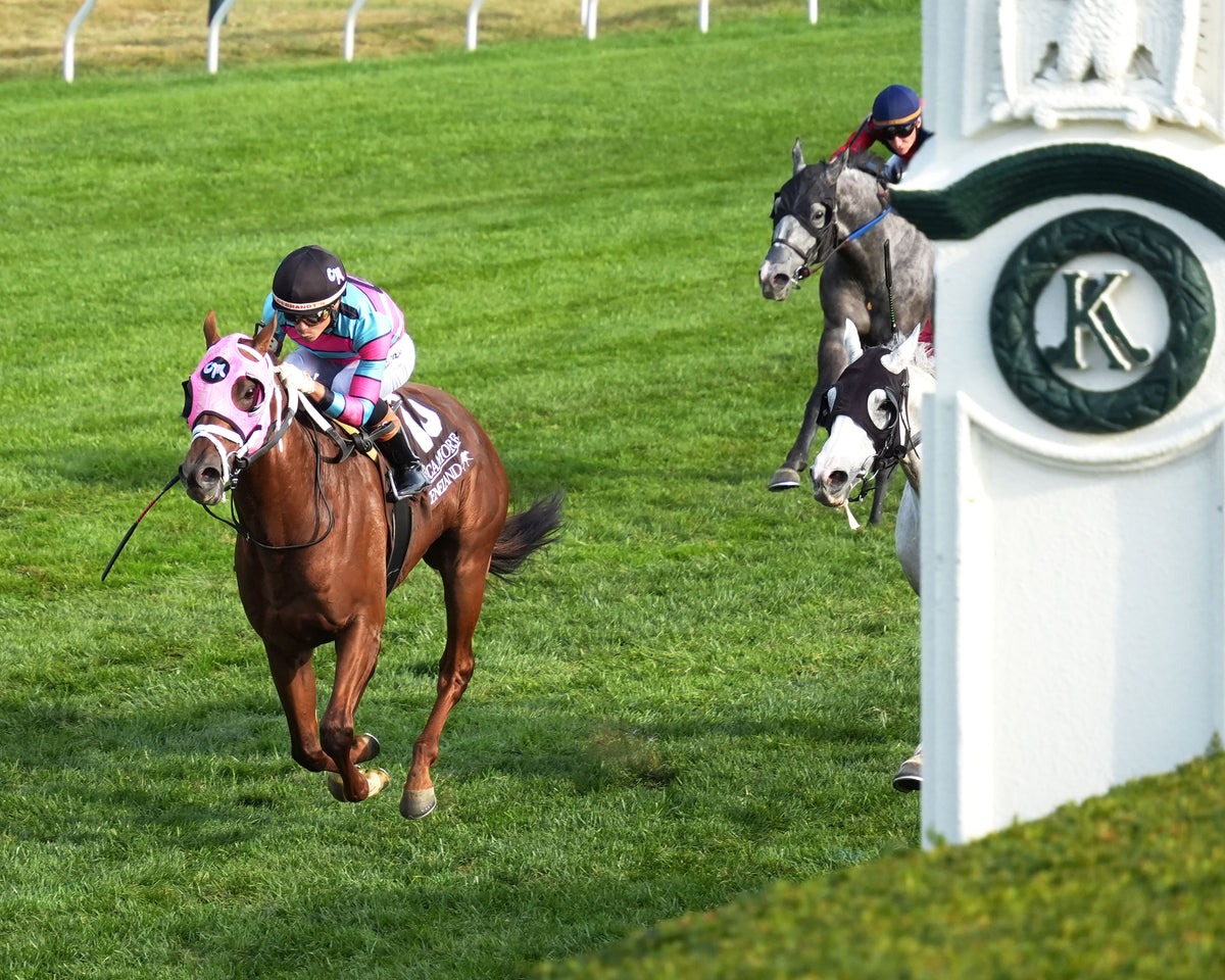 LAMBETH - The Sycamore G2 - 10-09-26 - R09 - KEE - Inside Finish 03