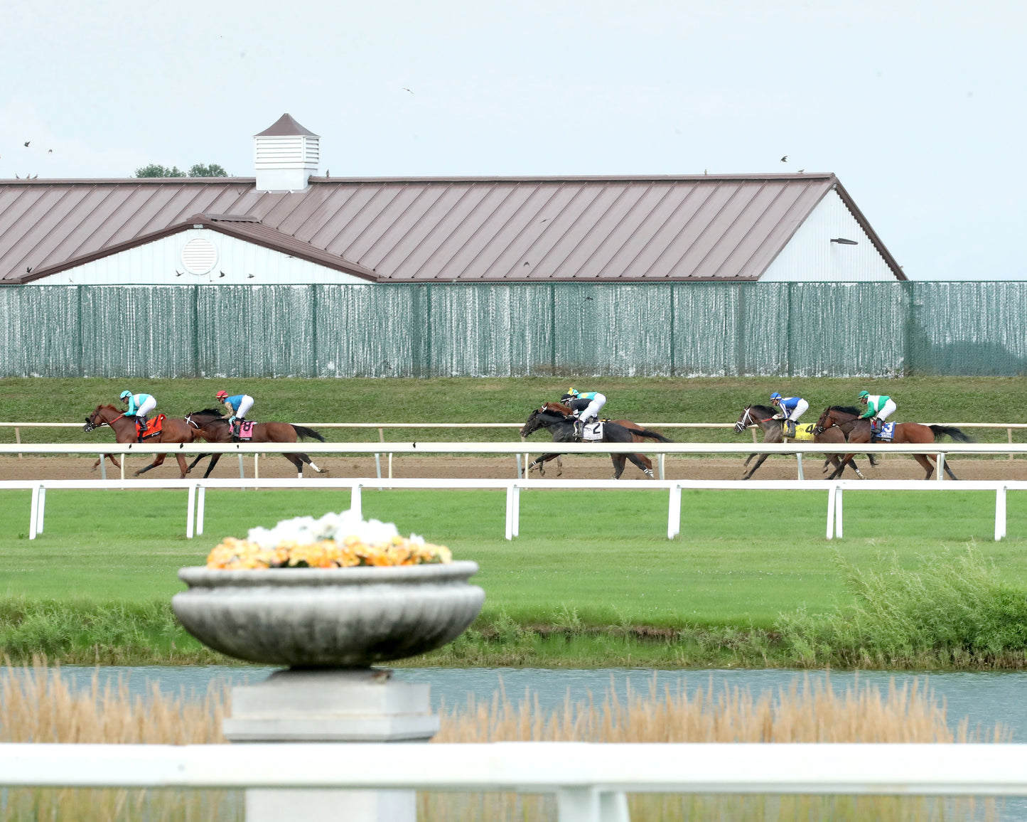 LEADING CHANGE - Indiana Derby - G3 - 07-11-26 - R12 - Horseshoe Indiana - Backstretch 01 - Renee Torbit