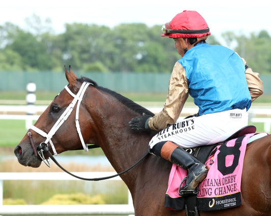 LEADING CHANGE - Indiana Derby - G3 - 07-11-26 - R12 - Horseshoe Indiana - Come Back 01 - Renee Torbit