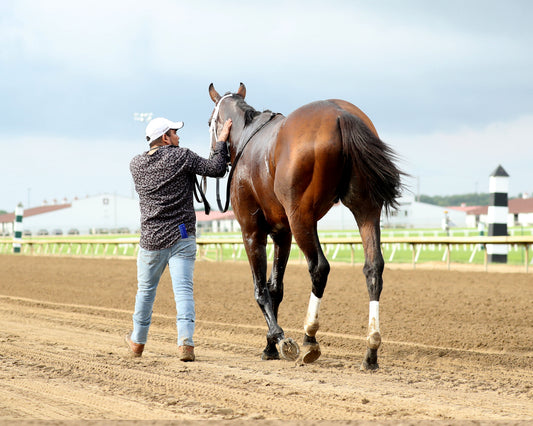 LEADING CHANGE - Indiana Derby - G3 - 07-11-26 - R12 - Horseshoe Indiana - Walk Back 01 - Cady Coulardot