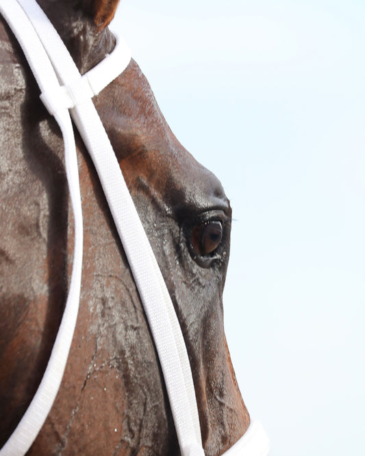 LEADING CHANGE - Indiana Derby - G3 - 07-11-26 - R12 - Horseshoe Indiana - Walk Back 02 - Cady Coulardot