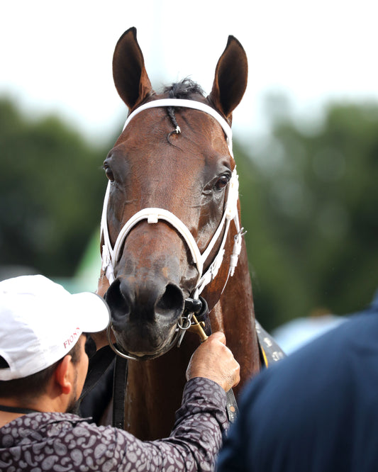 LEADING CHANGE - Indiana Derby - G3 - 07-11-26 - R12 - Horseshoe Indiana - Walk Back 05 - Cady Coulardot