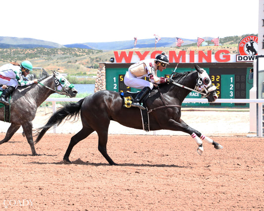 LEGYNDARY DYNASTY - 06-28-26 - R02 - WYO