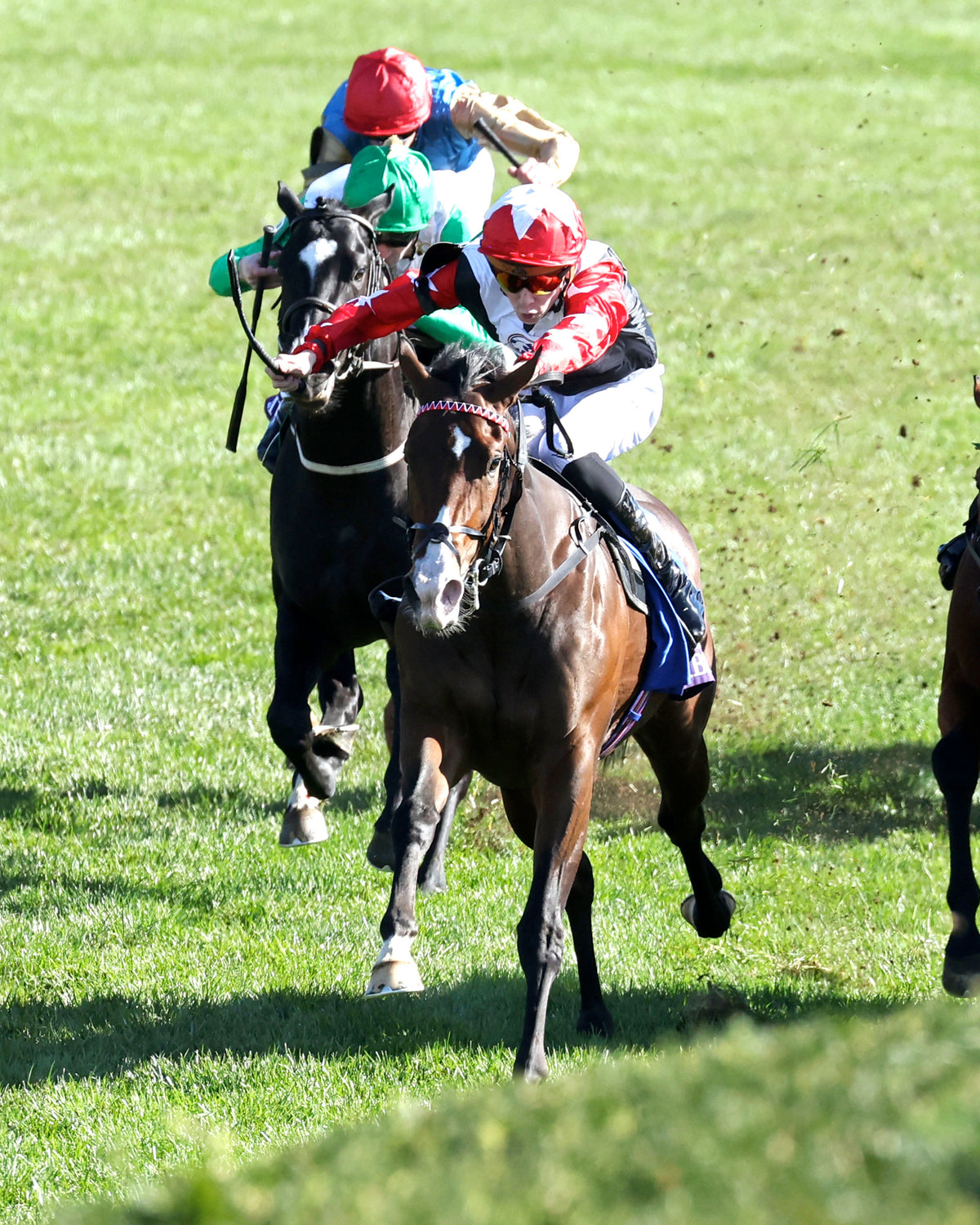 LIBERTANGO - Breeders’ Cup Juvenile Turf G1 - 10-30-26 - R10 - Keeneland Race Course - Inside Finish 01 - Cady Coulardot - Coady Media - Kurtis Coady Photography