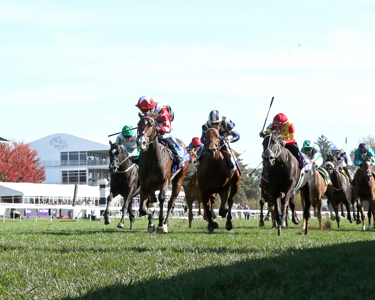LIBERTANGO - Breeders’ Cup Juvenile Turf G1 - 10-30-26 - R10 - Keeneland Race Course - Under Rail 03 - John Gallager - Coady Media - Kurtis Coady Photography