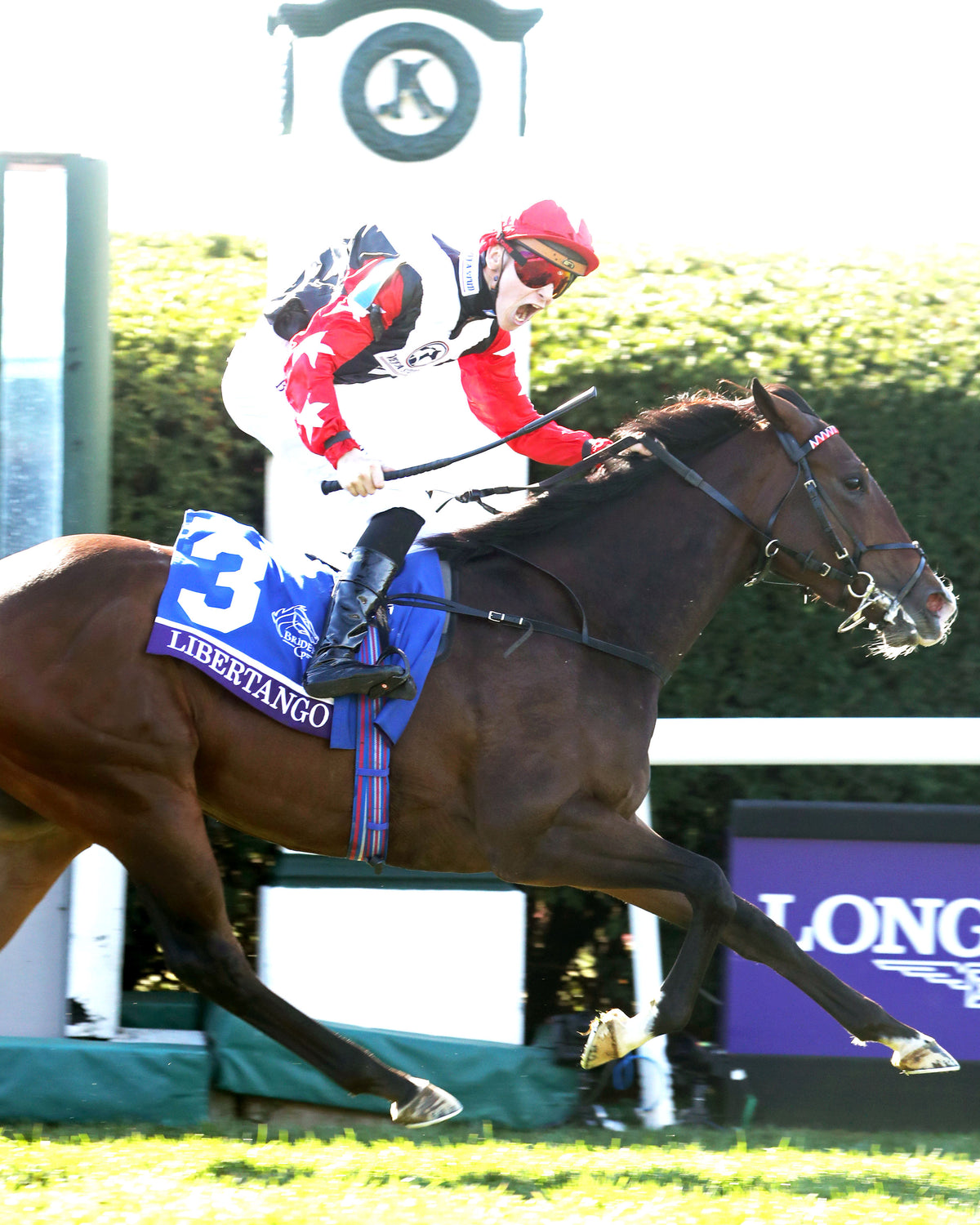 LIBERTANGO - Breeders' Cup Juvenile Turf Sprint G1 - 10-30-26 - R06 - Keeneland Race Course - Finish 03 - Stephen Ibanez - Coady Media - Kurtis Coady Photography