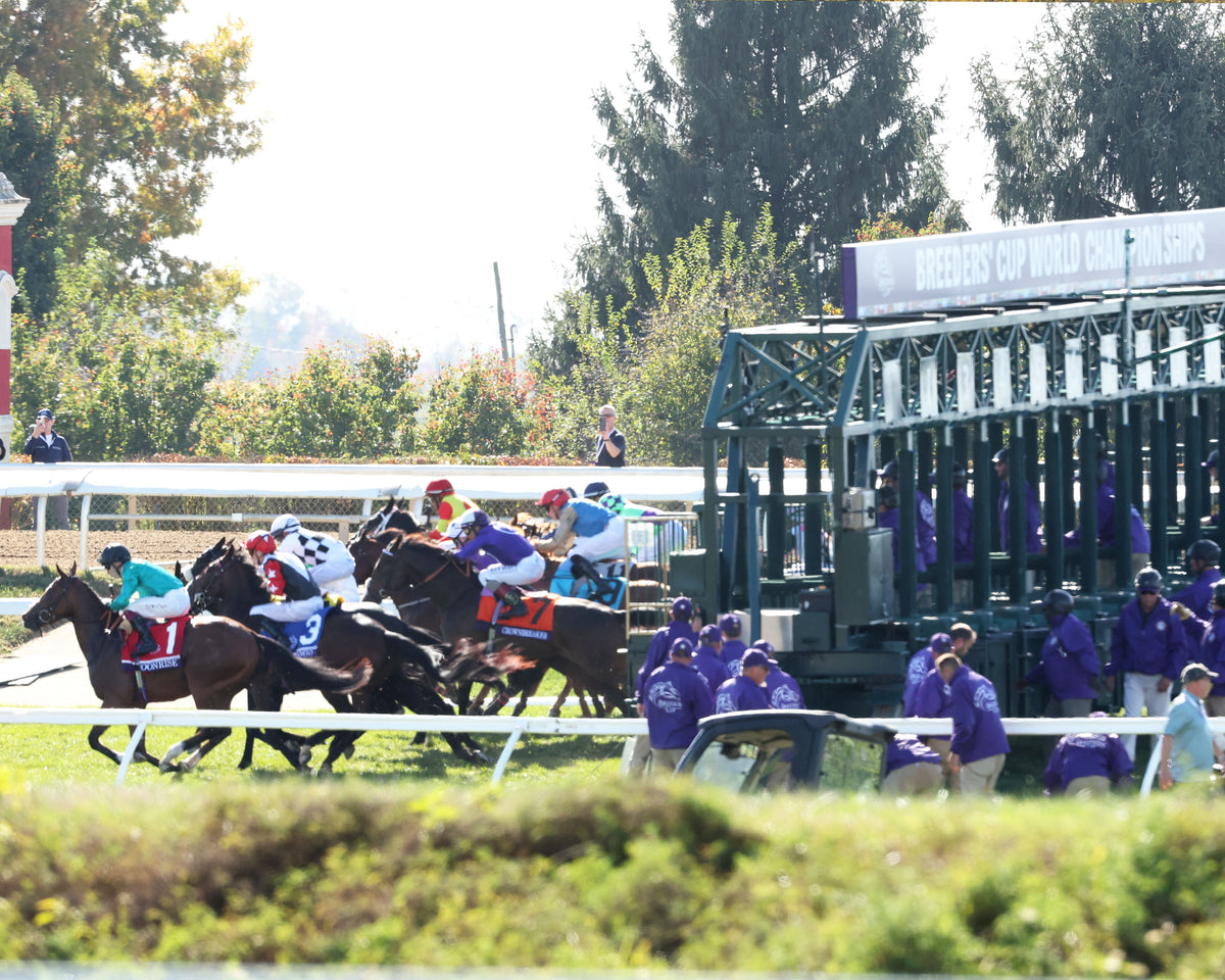 LIBERTANGO - Breeders' Cup Juvenile Turf Sprint G1 - 10-30-26 - R06 - Keeneland Race Course - Start 03 - Hunter Fridley - Coady Media - Kurtis Coady Photography