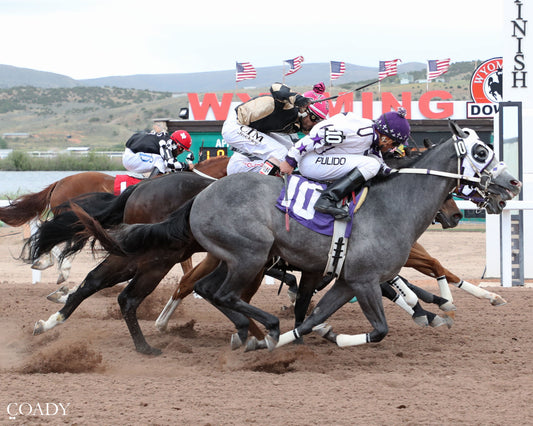 LIL POLLYS TRAIN - 307HR Wyoming Bred QH Futurity - 06-27-26 - R05 - WYO