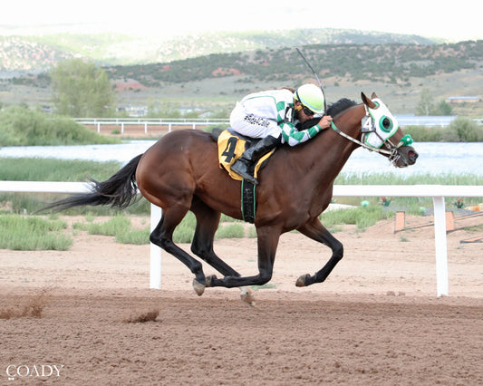 LION THRONE  - John Schiffer Memorial TB Derby - 06-27-26 - R10 - WYO