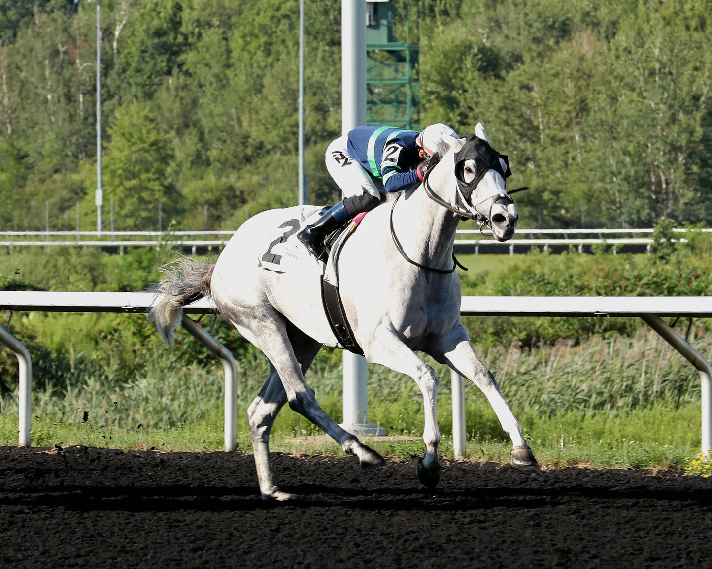 LOST AND FOUND - The Satin and Lace Stakes - 08-03-26 - R07 - PID - 3/4 Shot