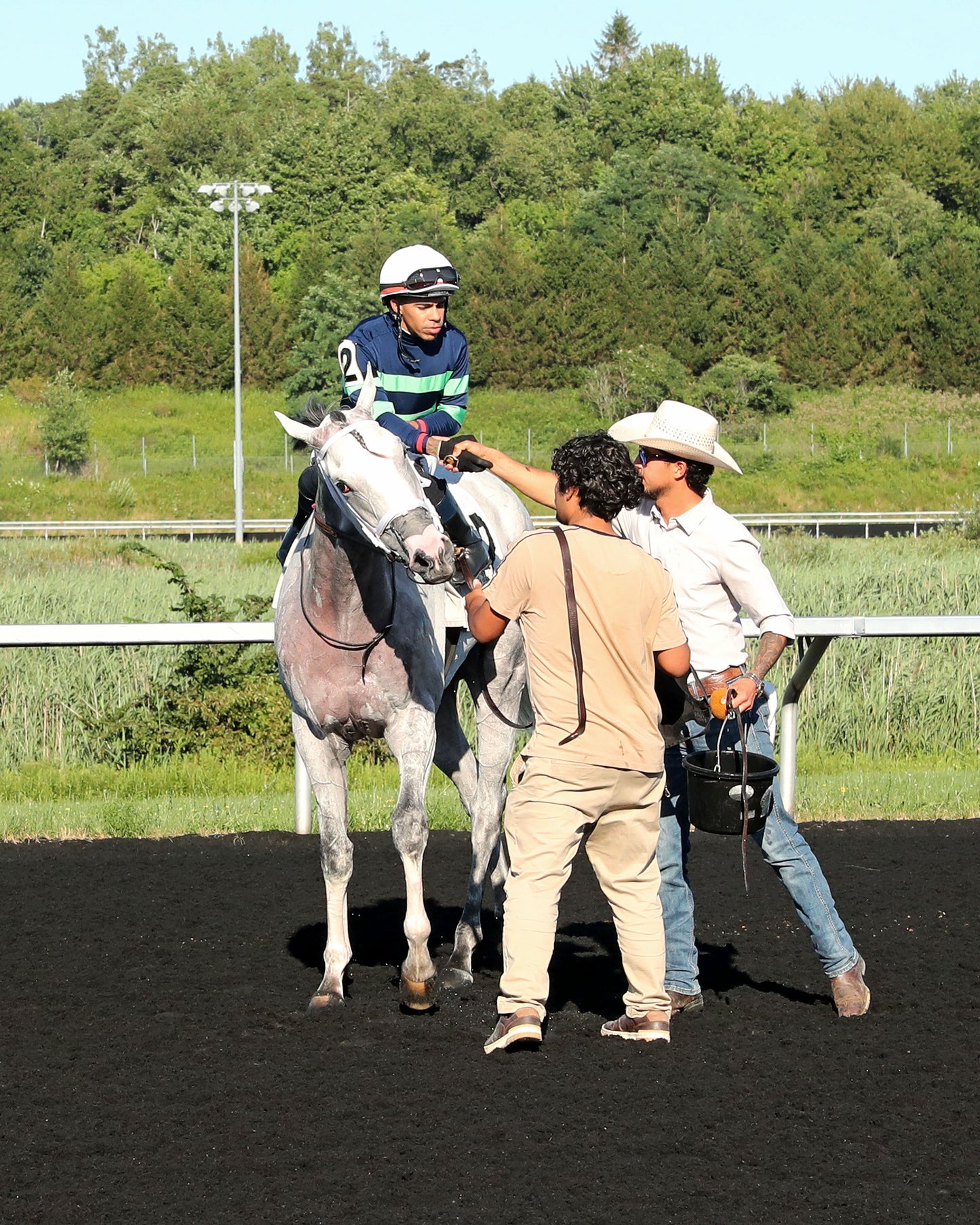 LOST AND FOUND - The Satin and Lace Stakes - 08-03-26 - R07 - PID - Celebration