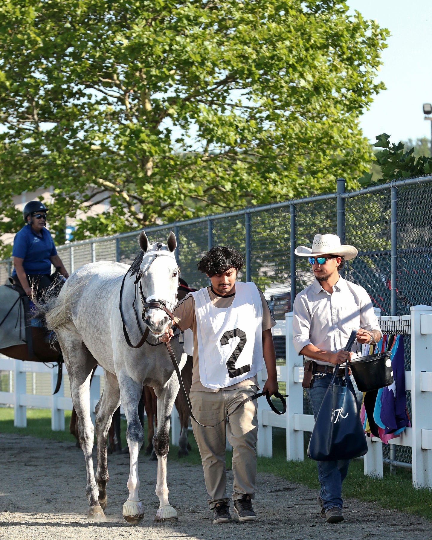 LOST AND FOUND - The Satin and Lace Stakes - 08-03-26 - R07 - PID - Paddock 01