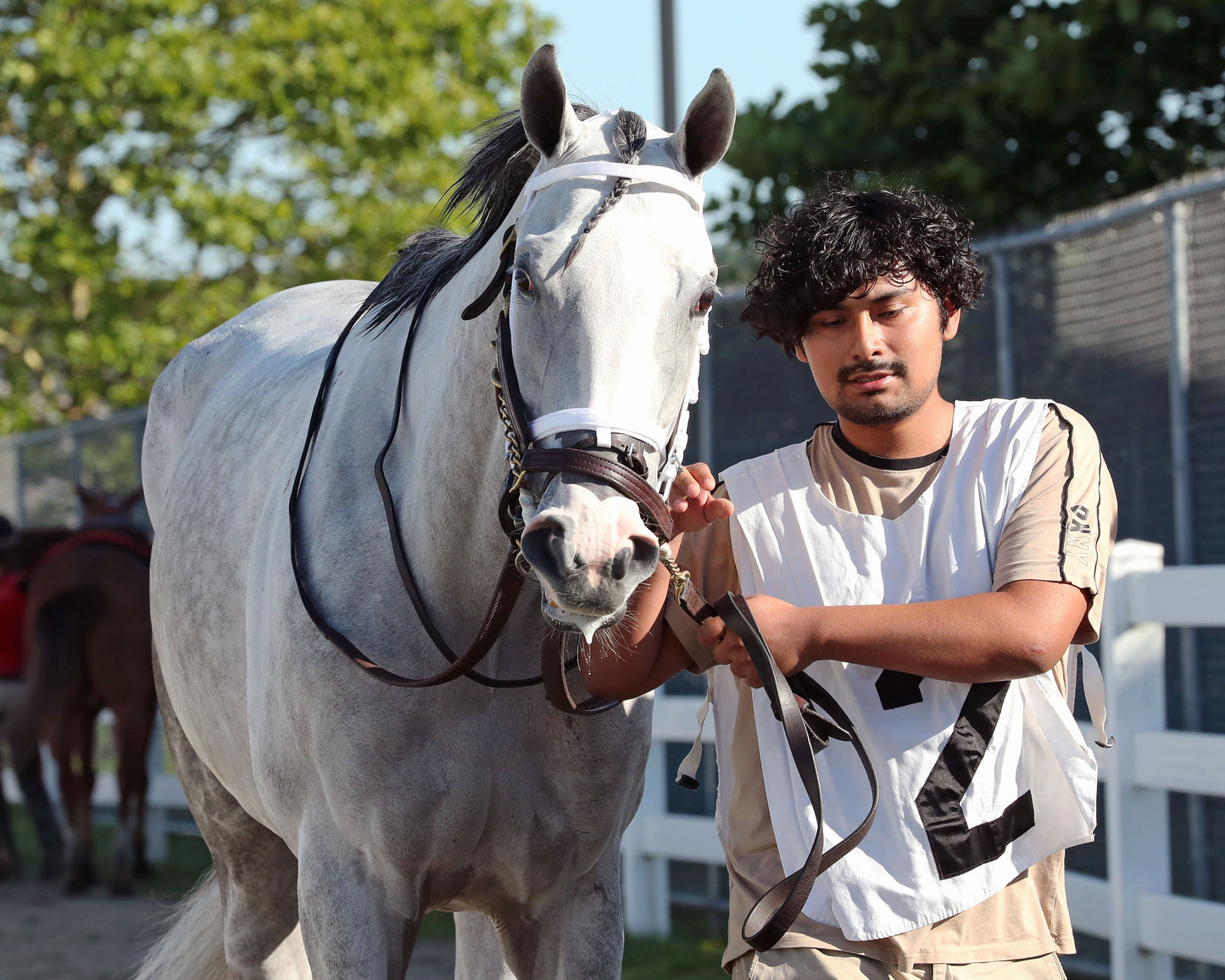 LOST AND FOUND - The Satin and Lace Stakes - 08-03-26 - R07 - PID - Paddock 03