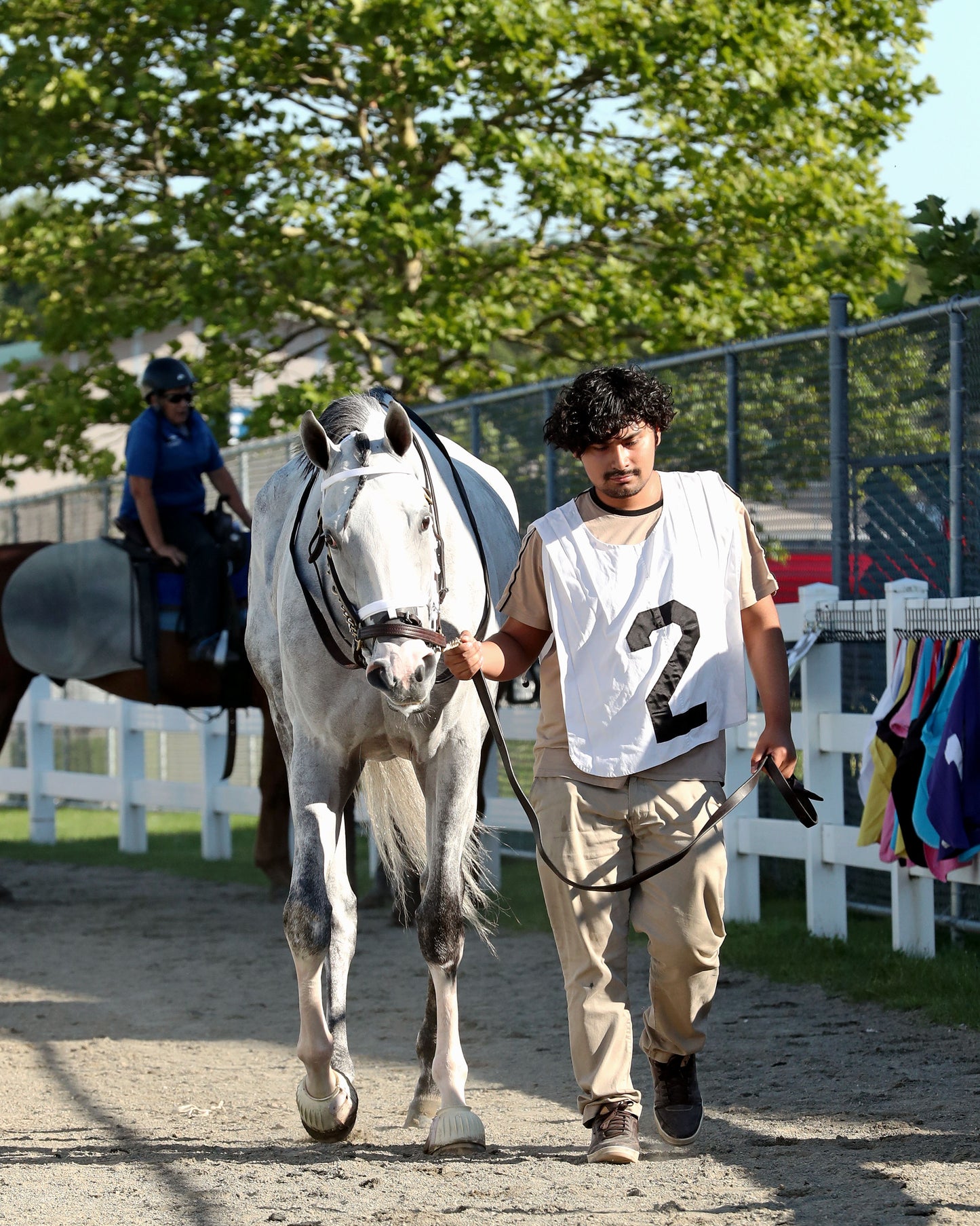 LOST AND FOUND - The Satin and Lace Stakes - 08-03-26 - R07 - PID - Paddock 05
