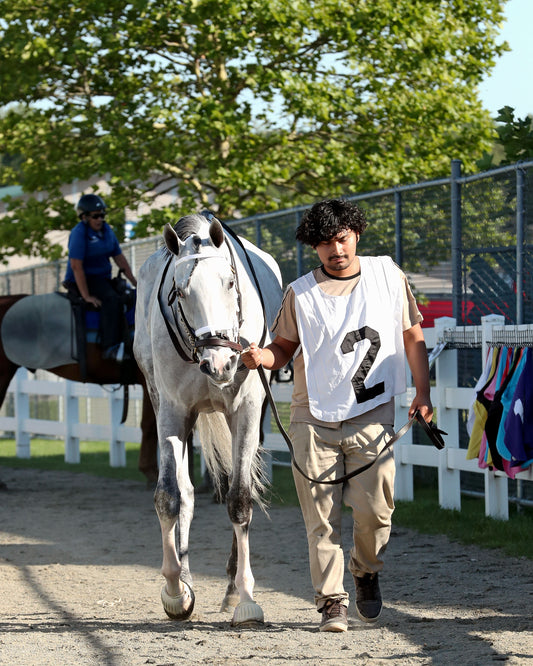 LOST AND FOUND - The Satin and Lace Stakes - 08-03-26 - R07 - PID - Paddock 05