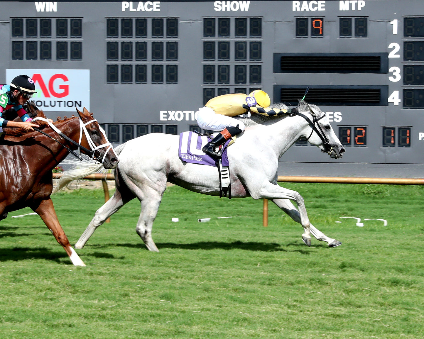 LOVE YOU ANYWAY - 080226 - Race 09 - ELP  Finish 01
