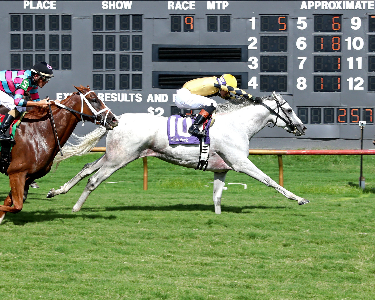 LOVE YOU ANYWAY - 080226 - Race 09 - ELP  Finish 02