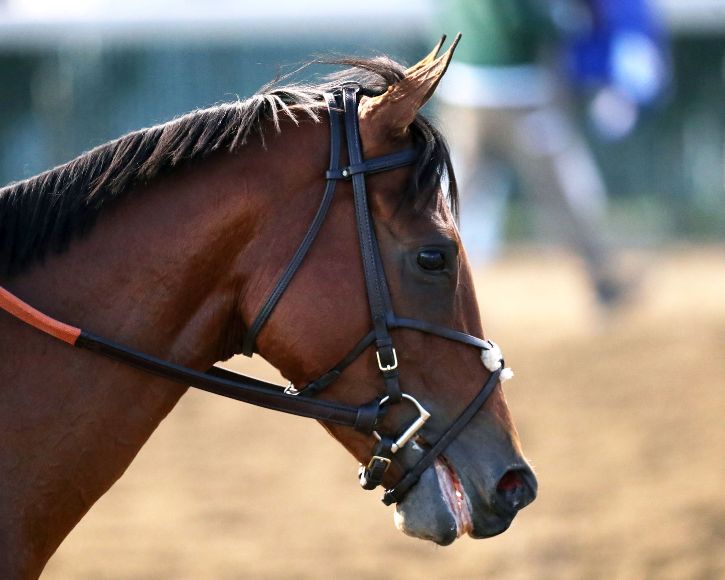 LUSH LIPS - 11-28-25 - R10 - CD - Come Back 05