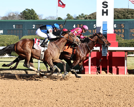MACKMAN - The General MacArthur Overnight Stakes - 02-06-26 - R08 - Oaklawn Park - Finish 01 - Coady Media - Kurtis Coady Photography