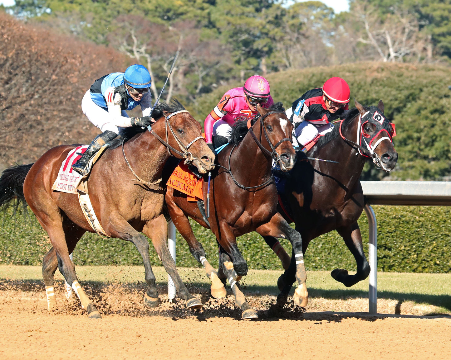 MACKMAN - The General MacArthur Overnight Stakes - 02-06-26 - R08 - Oaklawn Park - Finish 02 - Coady Media - Kurtis Coady Photography