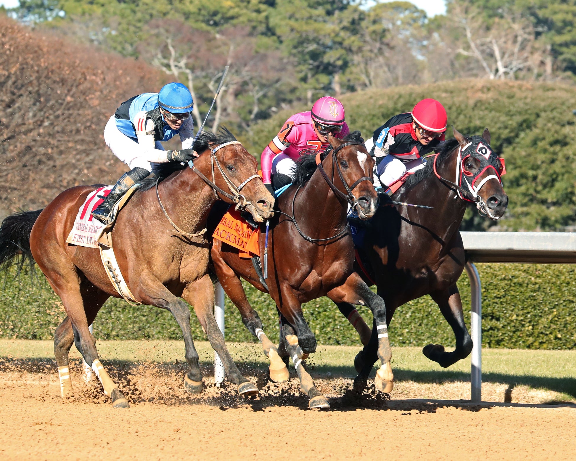 MACKMAN - The General MacArthur Overnight Stakes - 02-06-26 - R08 - Oaklawn Park - Finish 02 - Coady Media - Kurtis Coady Photography
