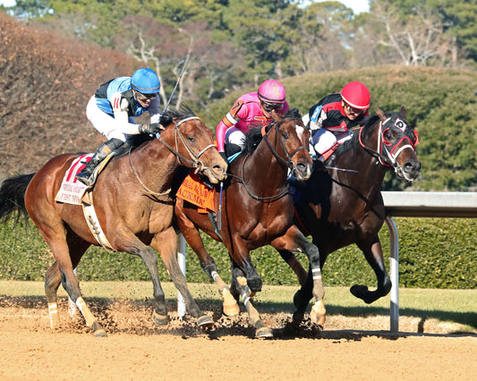 MACKMAN - The General MacArthur Overnight Stakes - 02-06-26 - R08 - Oaklawn Park - Finish 02 - Coady Media - Kurtis Coady Photography
