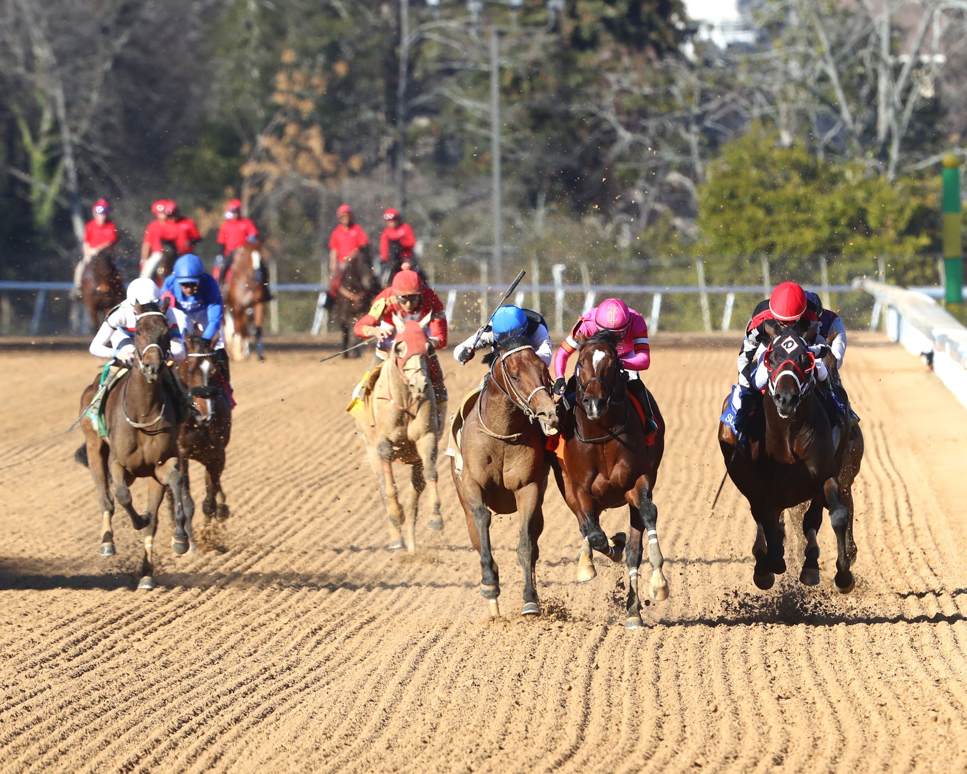 MACKMAN - The General MacArthur Overnight Stakes - 02-06-26 - R08 - Oaklawn Park - Head On 01 - Coady Media - Kurtis Coady Photography