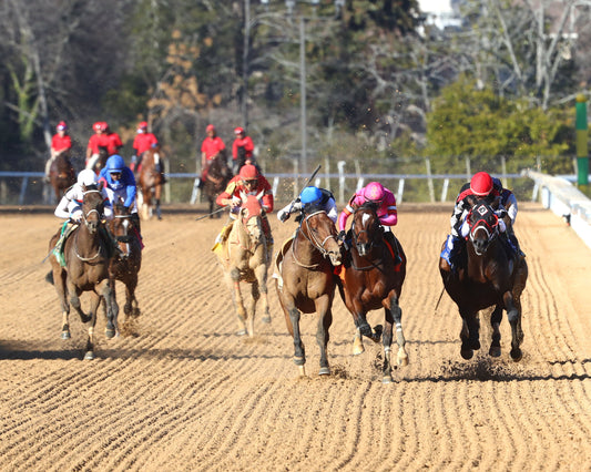 MACKMAN - The General MacArthur Overnight Stakes - 02-06-26 - R08 - Oaklawn Park - Head On 01 - Coady Media - Kurtis Coady Photography