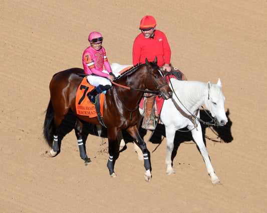 MACKMAN - The General MacArthur Overnight Stakes - 02-06-26 - R08 - Oaklawn Park - Post Parade 02 - Coady Media - Kurtis Coady Photography