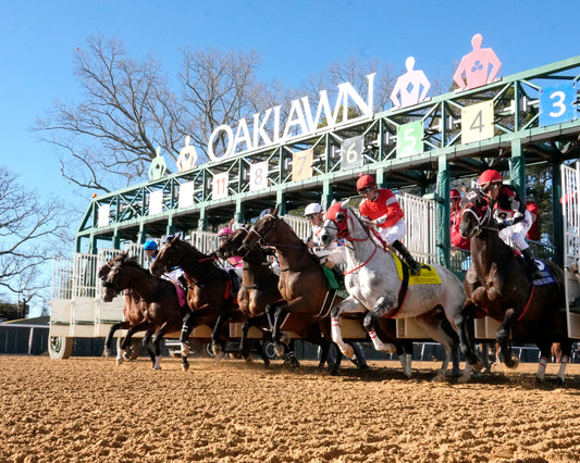 MACKMAN - The General MacArthur Overnight Stakes - 02-06-26 - R08 - Oaklawn Park - Start 01 - Coady Media - Kurtis Coady Photography
