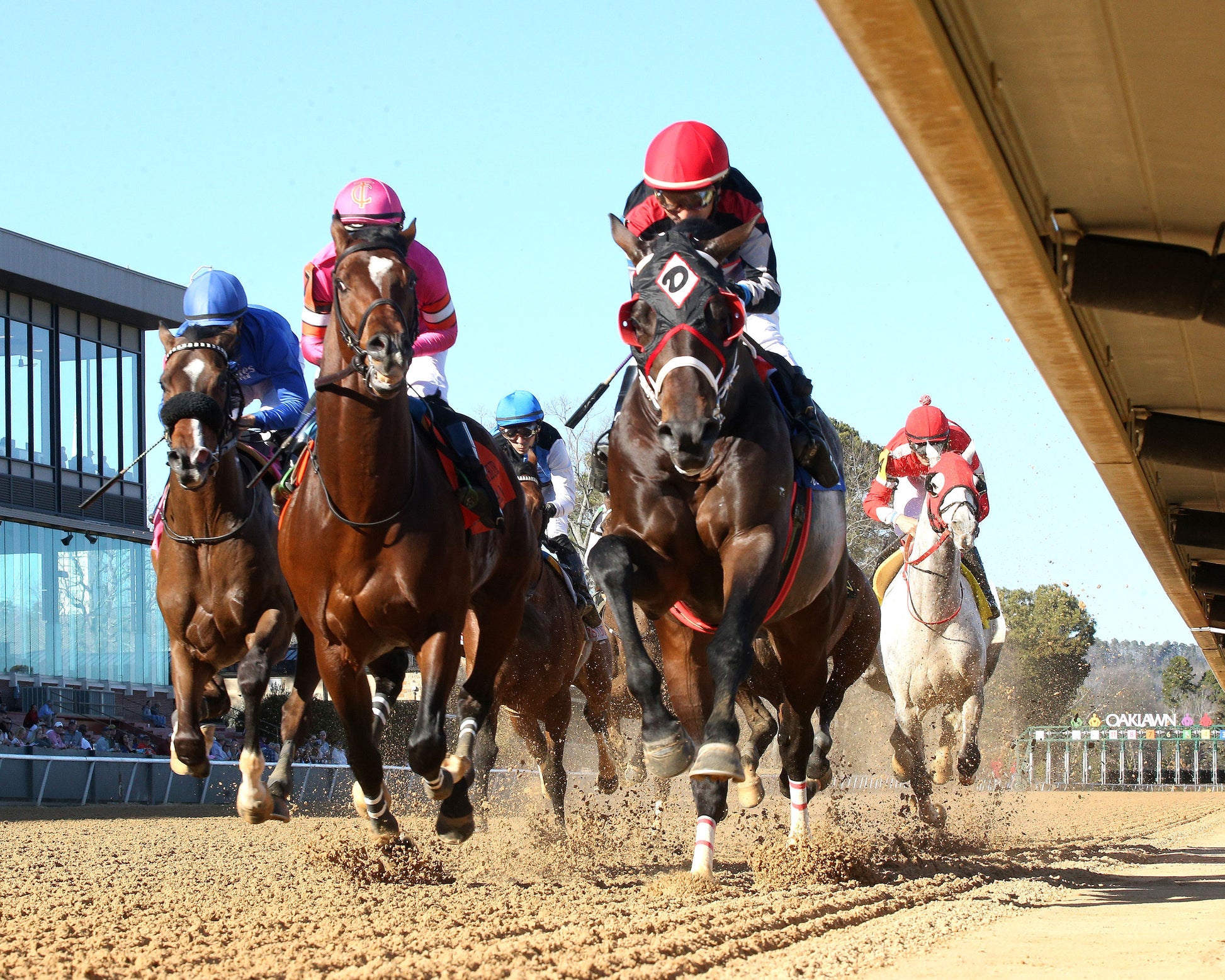 MACKMAN - The General MacArthur Overnight Stakes - 02-06-26 - R08 - Oaklawn Park - Under Rail - First Pass 01 - Coady Media - Kurtis Coady Photography