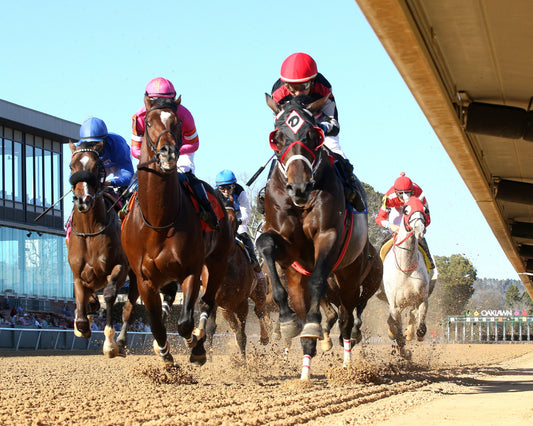 MACKMAN - The General MacArthur Overnight Stakes - 02-06-26 - R08 - Oaklawn Park - Under Rail - First Pass 01 - Coady Media - Kurtis Coady Photography