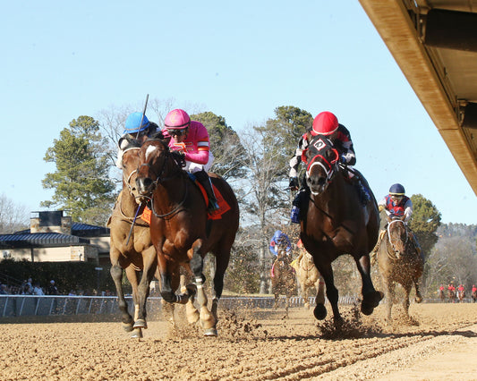 MACKMAN - The General MacArthur Overnight Stakes - 02-06-26 - R08 - Oaklawn Park - Under Rail 01 - Coady Media - Kurtis Coady Photography