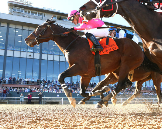 MACKMAN - The General MacArthur Overnight Stakes - 02-06-26 - R08 - Oaklawn Park - Under Rail 02 - Coady Media - Kurtis Coady Photography