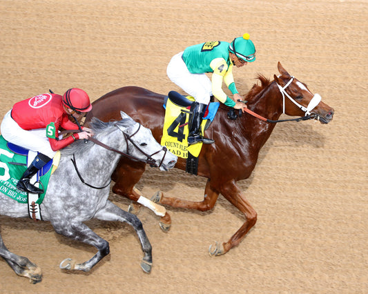 MAD HOUSE - The Count Fleeet - 041126 - Race 08 - OP - Aerial Finish 01 - Coady Media - Kurtis Coady Photography