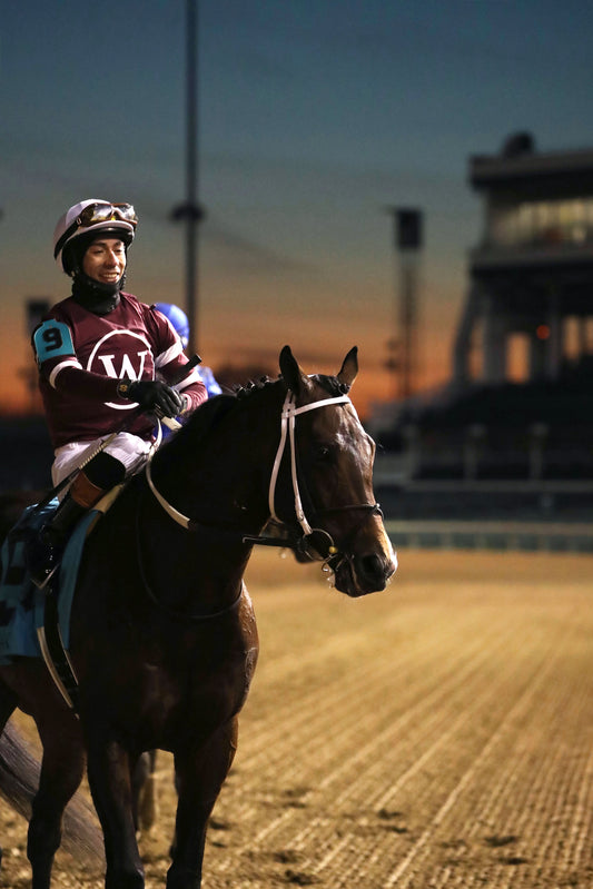 MAGNITUDE - The Clark G2 - 11-28-25 - R11 - CD - Comeback 01