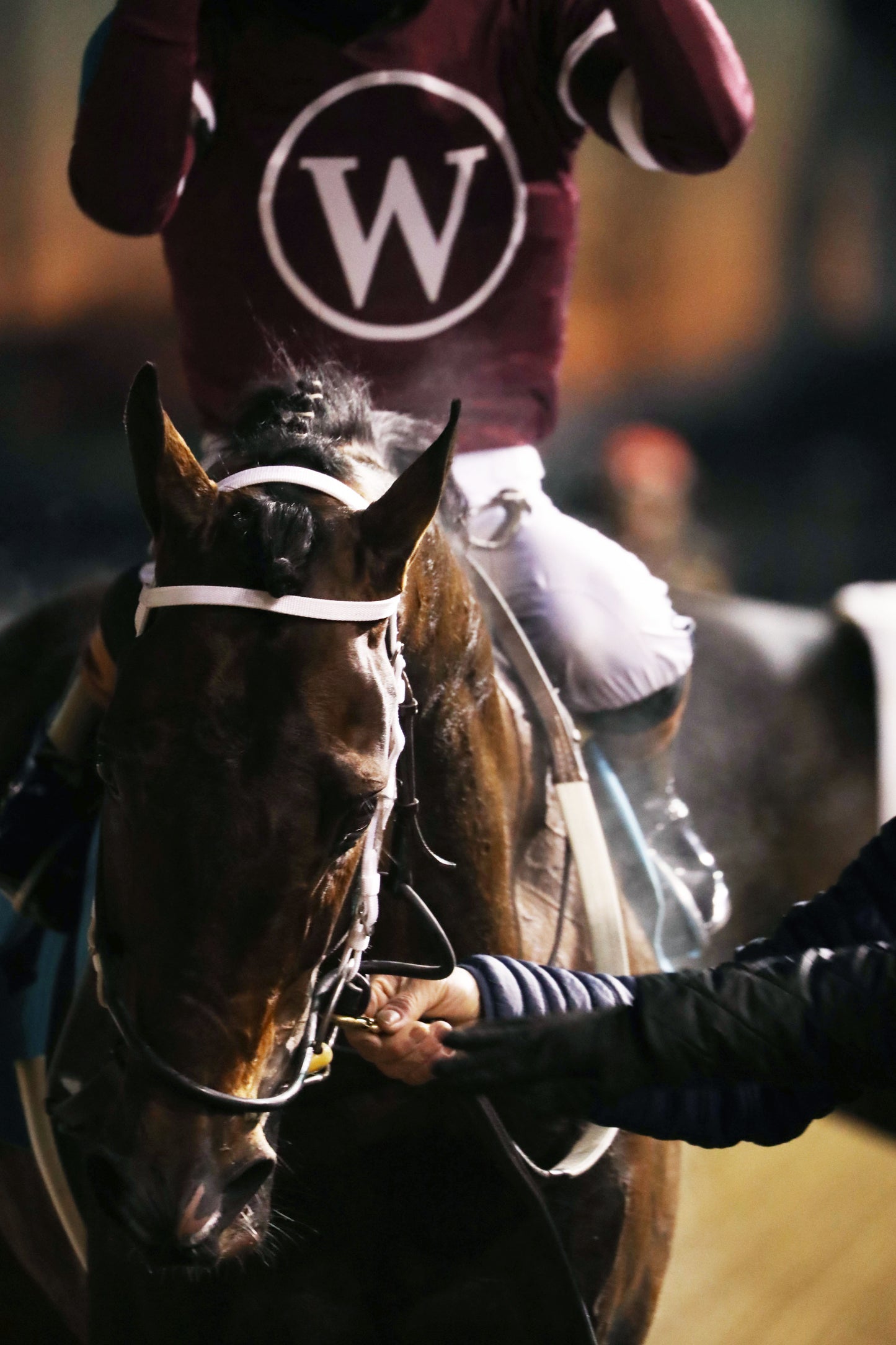 MAGNITUDE - The Clark G2 - 11-28-25 - R11 - CD - Comeback 03