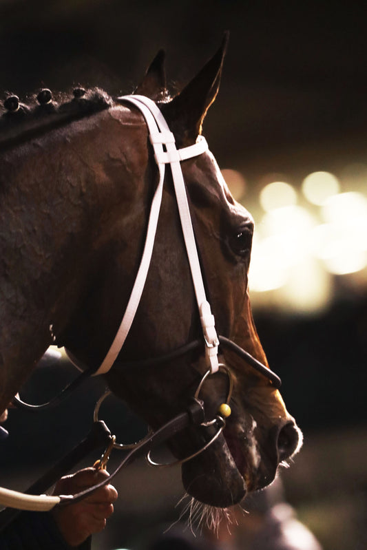 MAGNITUDE - The Clark G2 - 11-28-25 - R11 - CD - Comeback 04